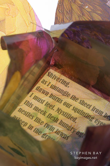 Flower book by Susan LaFranchi-Madonich