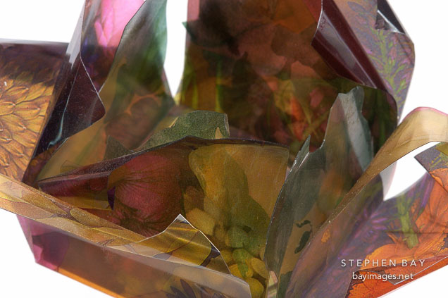 Flower book by Susan LaFranchi-Madonich