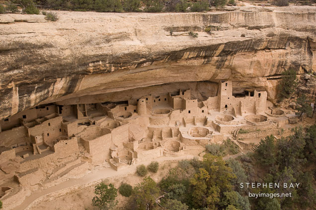 Cliff Palace is the largest cliff dwelling in North America. Mesa Verde NP, Colorado.