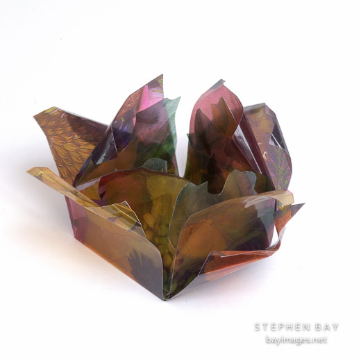 Flower book by Susan LaFranchi-Madonich