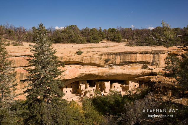 Spruce Tree House is protected by an overhanging cliff. Mesa Verde NP, Colorado.