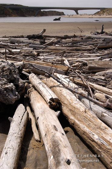 Driftwood at Pescadero state beach, California, USA.