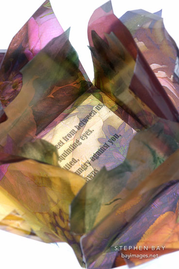 Flower book by Susan LaFranchi-Madonich