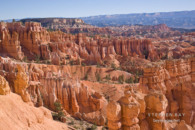Queen's Garden area in Bryce Amphitheatre. Bryce Canyon NP, Utah.