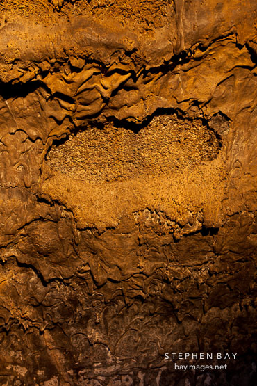 Dripstone pulling away from the walls of the lava tube.