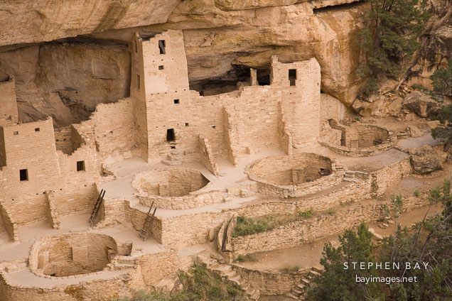 Cliff Palace contains 23 kivas, round ceremonial rooms. Mesa Verde NP, Colorado.