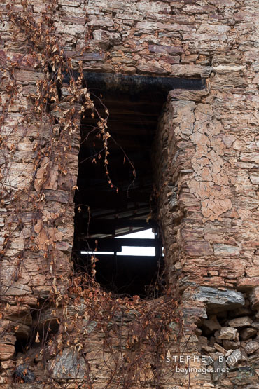 Window at Drukgyal Dzong.