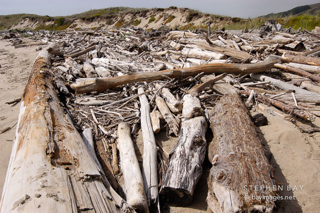 Driftwood at Pescadero state beach, California, USA.
