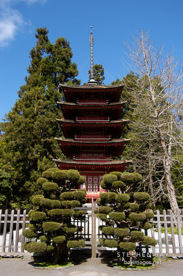 Japanese Tea Garden. Golden Gate Park, San Francisco, California, USA.