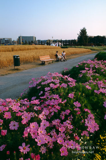 Garden behind the railway station. Helsinki, Finland.