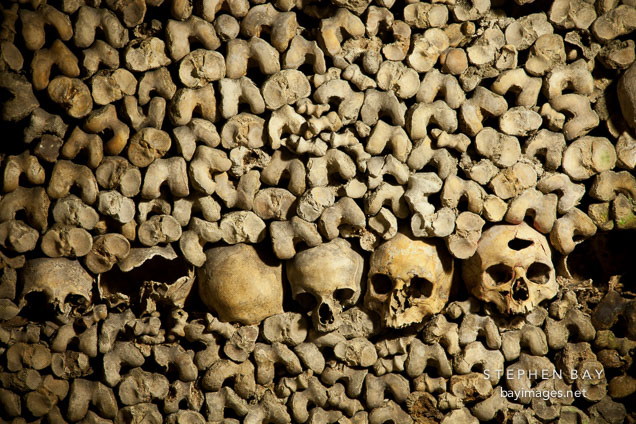 Row of skulls in the Paris Catacombs. Paris, France.