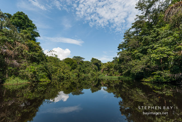 River running through Tortuguero National Park. Costa Rica.