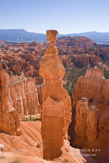 Thor's Hammer. Bryce Canyon NP, Utah.