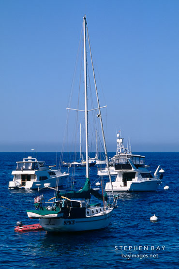 Boats. Avalon, Catalina Island, California.