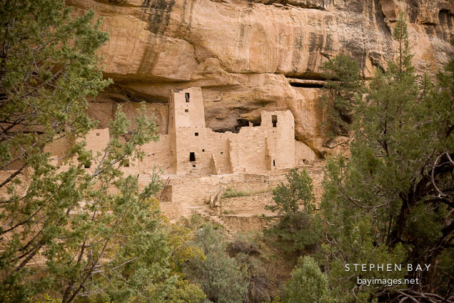 Cliff Palace tower seen through the trees. Mesa Verde NP, Colorado.