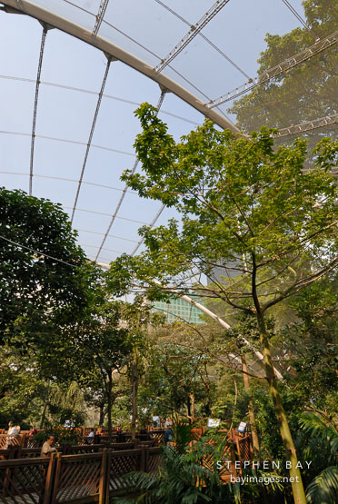 Edward Youde Aviary. Hong Kong, China.