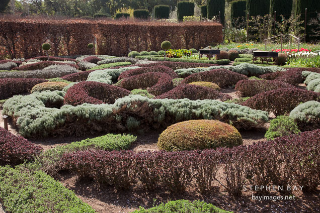 Knot Garden at Filloli.