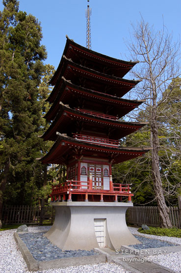 Japanese Tea Garden. Golden Gate Park, San Francisco, California, USA.