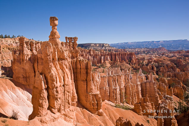 Thor's Hammer and Queen's Garden. Bryce Canyon NP, Utah.
