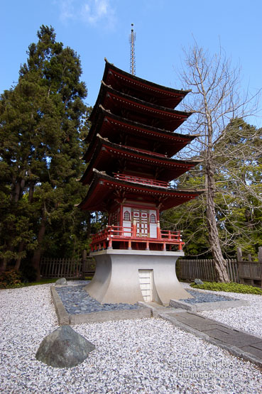 Japanese Tea Garden. Golden Gate Park, San Francisco, California, USA.