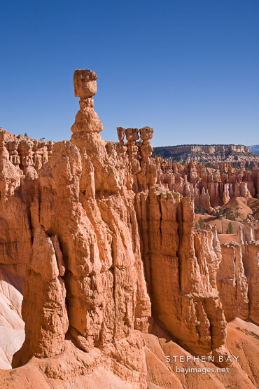 Thor's Hammer rises above the hoodoos. Bryce Canyon NP, Utah.