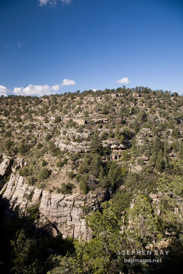 Cliff dwellings can be seen on the canyon walls. Walnut Canyon, Arizona.
