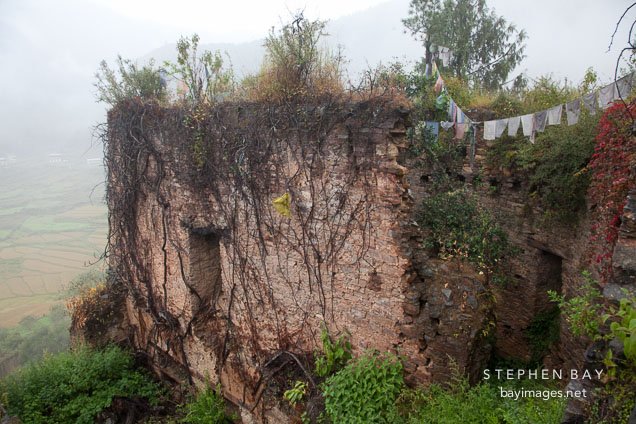 Overgrown wall at Drukgyal Dzong. Paro, Bhutan.