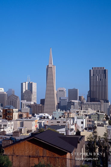 The Transamerica pyramid and the San Francisco skyline. San Francisco, California, USA.