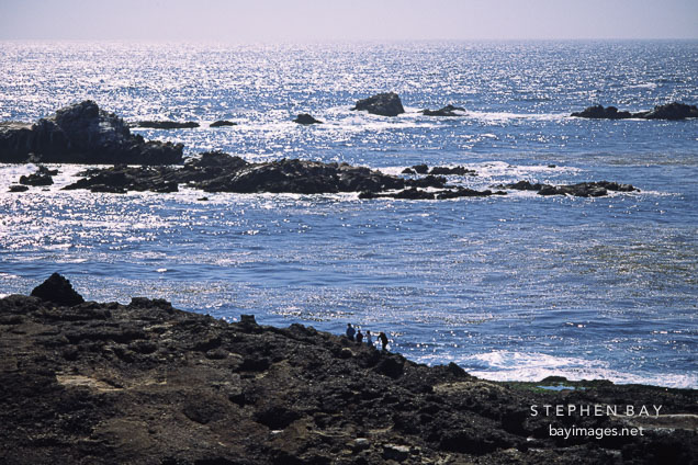 Point Lobos State Reserve. California, USA.