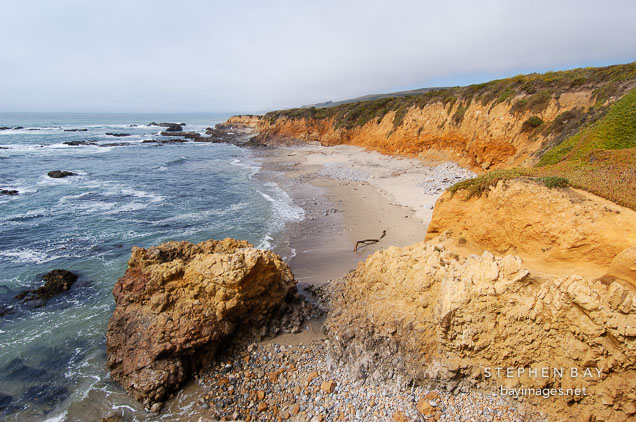 Shoreline at Pescadero state beach, California, USA.