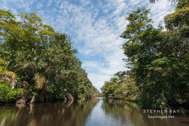 Tortuguero, Costa Rica.
