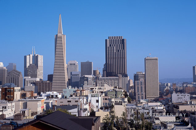 The Transamerica pyramid and the San Francisco skyline. San Francisco, California, USA.
