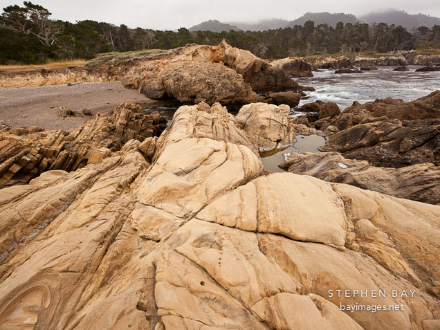 Weston beach, Point Lobos.