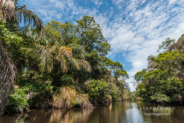 Canals of Tortuguero National Park, Costa Rica.