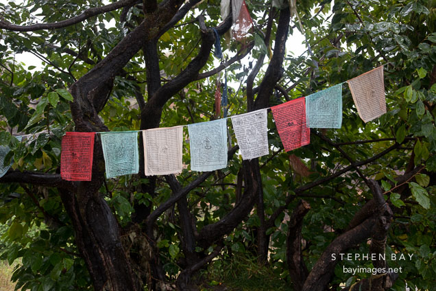 Prayer flags at Drukgyal Dzong. Paro, Bhutan.