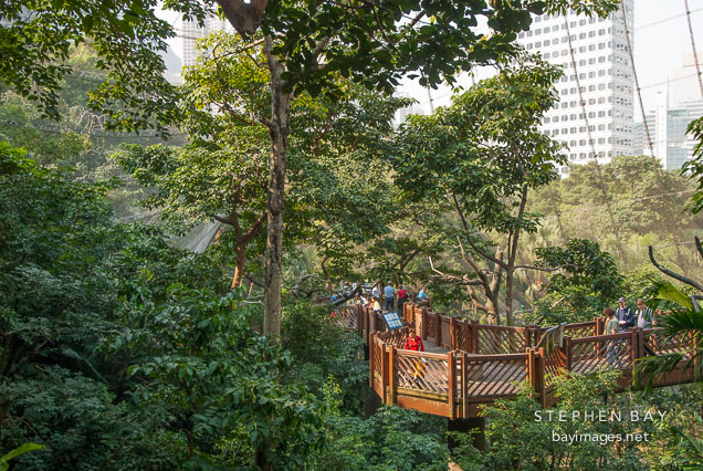 Elevated walkway in the Edward Youde Aviary. Hong Kong, China.