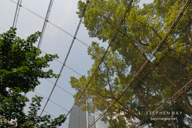 Stainless steel mesh enclosing the Edward Youde Aviary. Hong Kong, China.