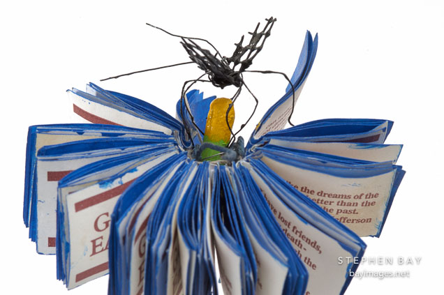 Flower book by Ceevah Sobel.