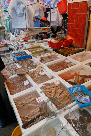 Prawns and other live seafood for sale. Central, Hong Kong, China.