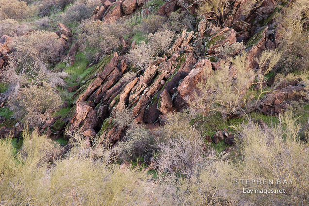 Chaparral Apache trail. Arizona, USA.