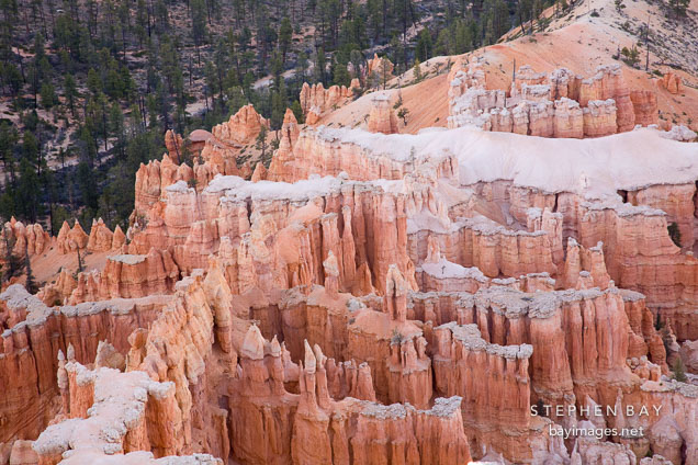 Hoodoos at Bryce Point. Bryce Canyon NP, Utah.