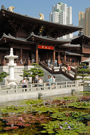 Lily garden. Chi Lin Nunnery. Hong Kong.