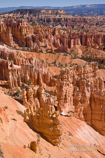 Hoodoos in the early morning light. Bryce Canyon NP, Utah.