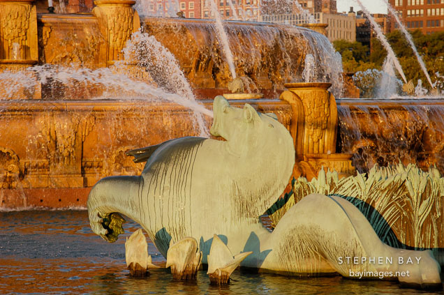 Seahorse. Buckingham Fountain, Chicago, Illinois, USA.