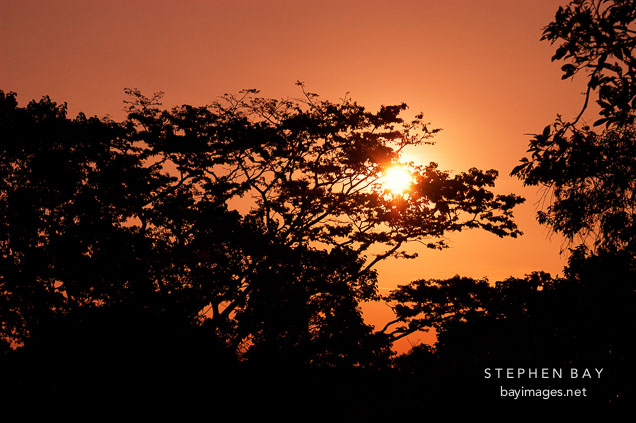 Sunset and the jungle canopy. Amazon. Peru.