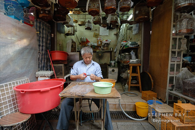 Man cutting off the legs of crickets. Mong Kok bird garden. Hong Kong.
