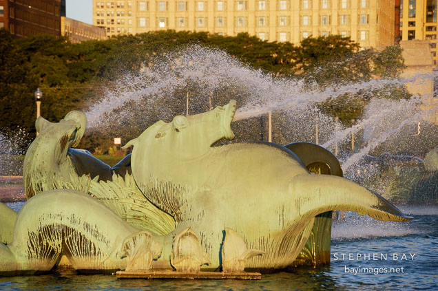Seahorse at Buckingham Fountain, early morning. Chicago, Illinois, USA.