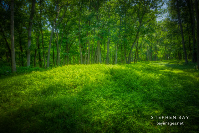 Native American effigy mound. Effigy Mounds National Monument, Iowa.