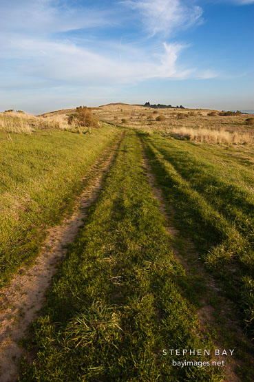 Tracks at Russian Ridge Open Space Preserve. California.