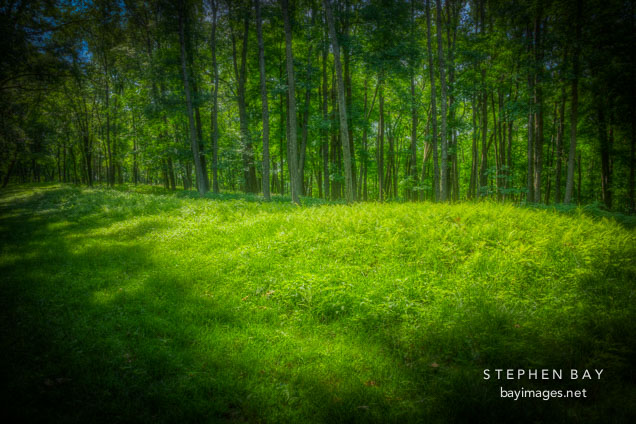 Effigy mound. Effigy Mounds National Mounument.